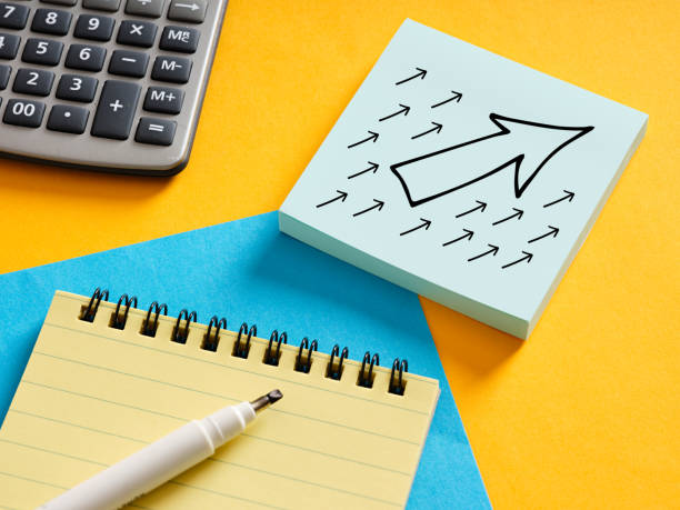 Kağıthane Bağımsız Denetim Hizmetleri