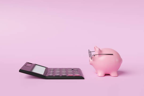 Kağıthane Profesyonel Mali Müşavir